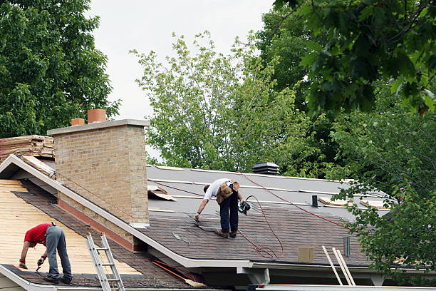 Best Flat Roof Repair Services  in Blackhawk, SD